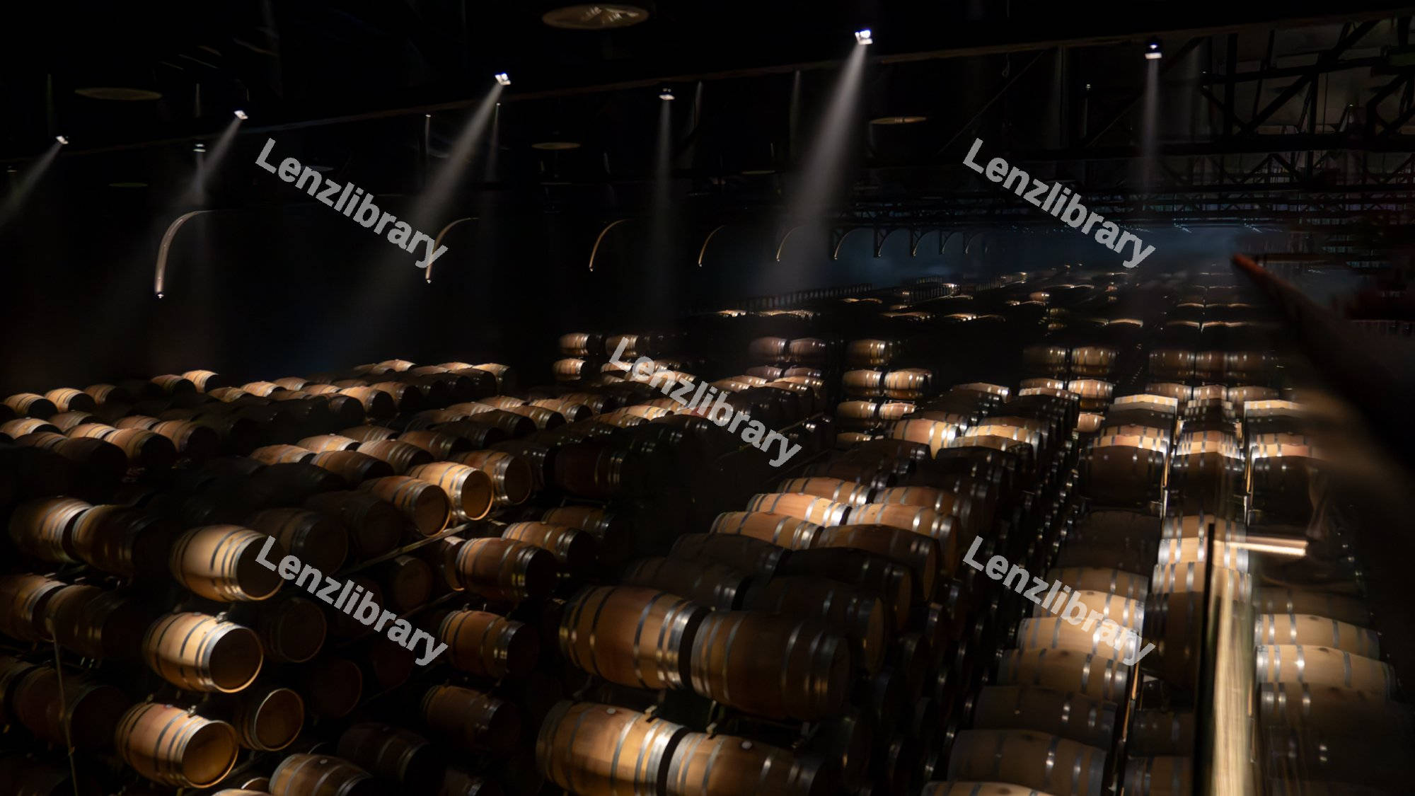 Oak barrels in the wine cellar